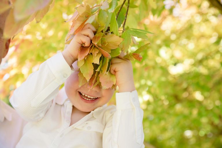 hiding-in-the-autumn-leaves